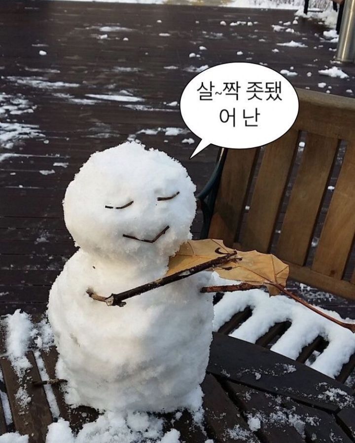  K직장인의 일자목 탈출 발악 일기 (+도수치료, 폼롤러, 땅콩볼, 괄사, 베개 후기)_2022.7.4-10
