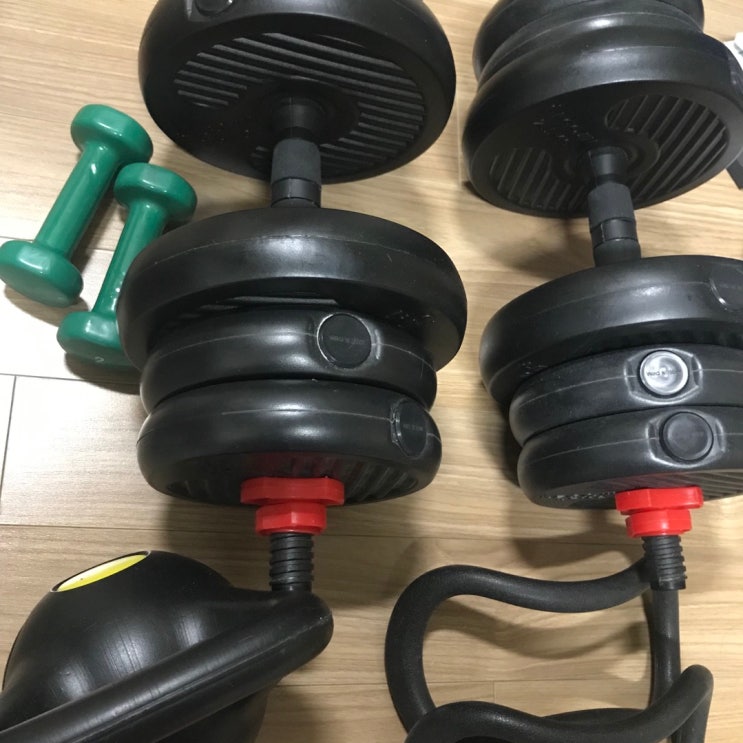  결혼 후 첫 귀향, 토론토 집 계약