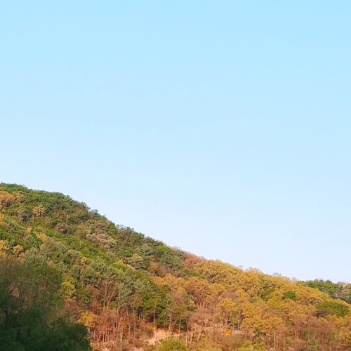 내공(內功)과 외공(外功) 그리고 양생술(養生術) 및 허브/아로마테라피