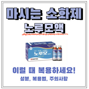  마시는 소화제 노루모액! 이럴 때 복용하자! (효능, 용법, 주의사항)