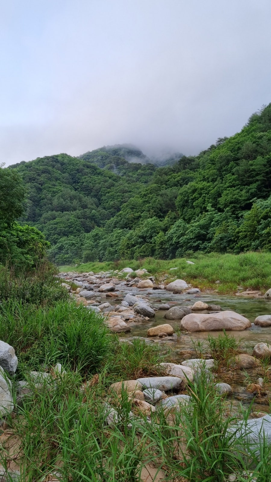 한계사슴농원 사진 5