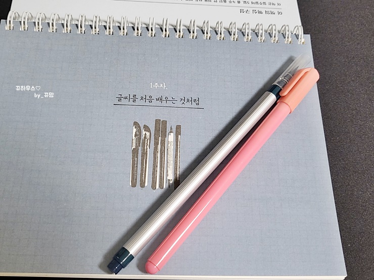  소소한 한 주를 마감하는 블로그 챌린지