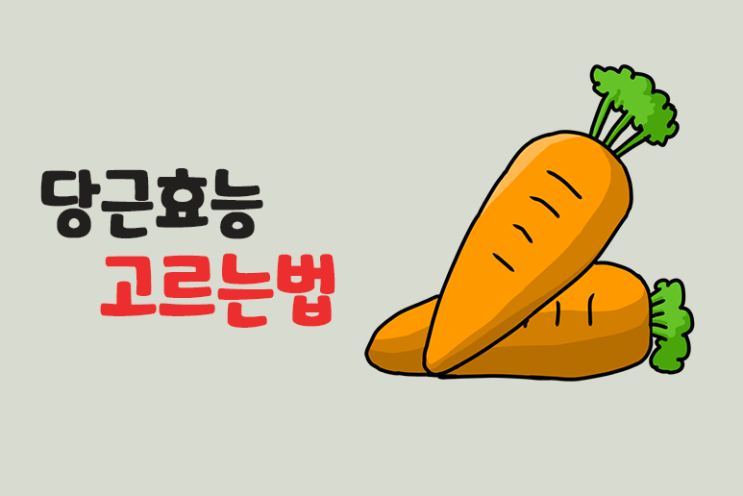  당근 효능 고르는법 보관법 손질법