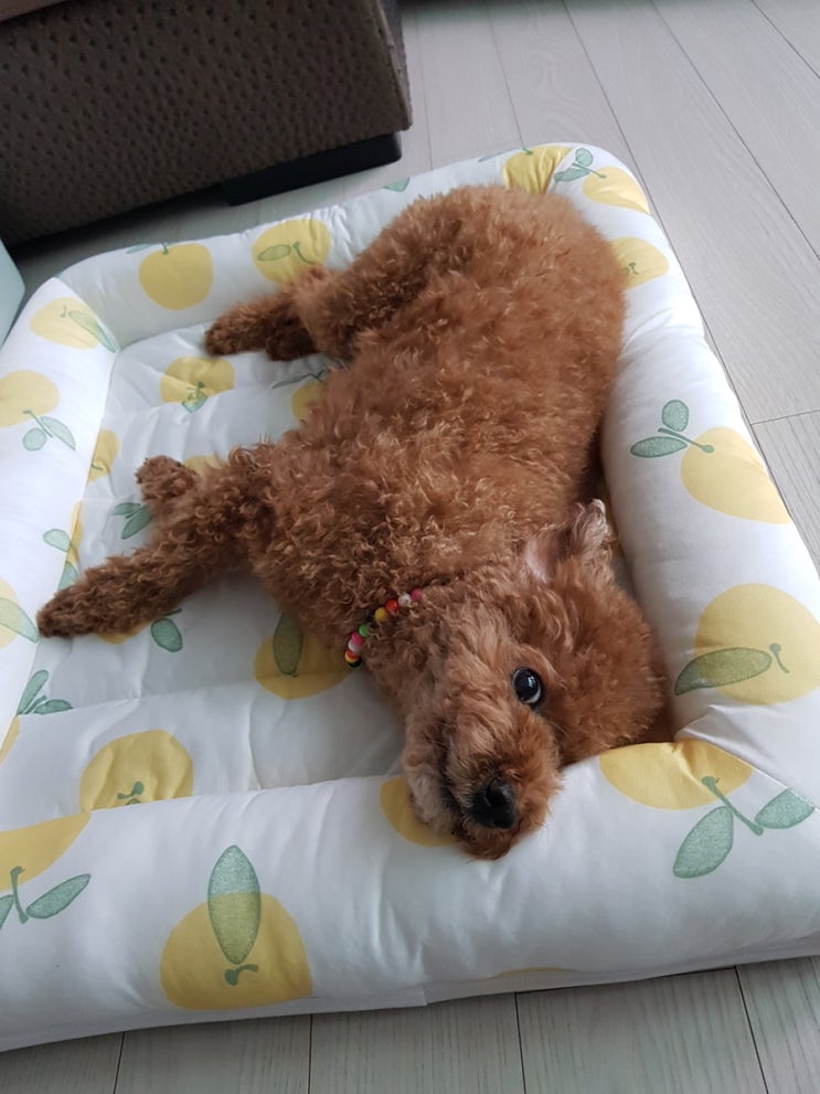  주간일기 챌린지5