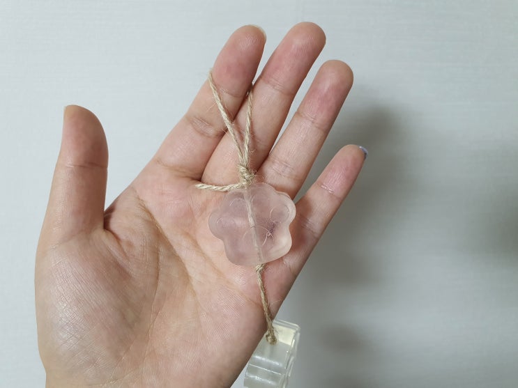  반려동물이 있는 집에서 쓰는 모스큐브 만들기