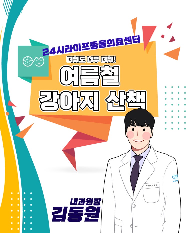 반려견 여름산책 : 주의해야 할 사항 챙겨가세요! 대구24시동물병원 라이프동물의료센터