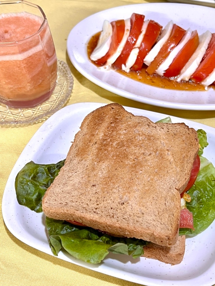 토마토보관법 완숙토마토로 만드는 다이어트 토마토요리