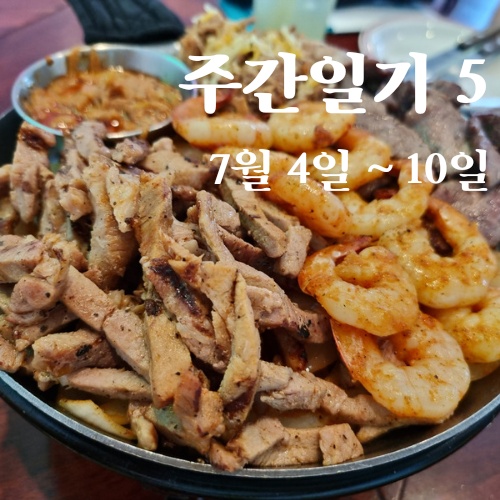  주간일기5 :: 7월 (1)