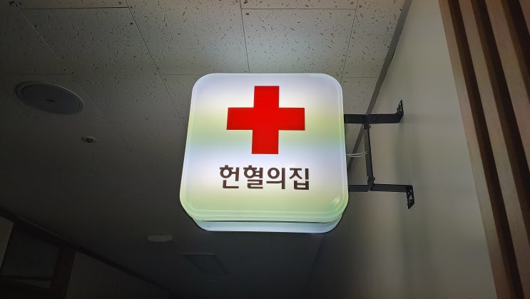 주말 일상 주말 일상