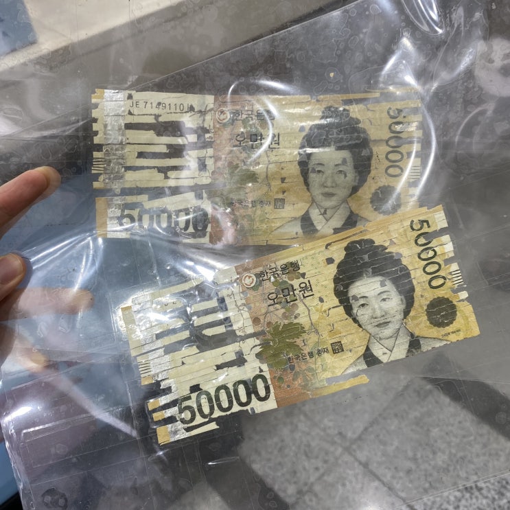  7월 2째주_이리저리 정신없는