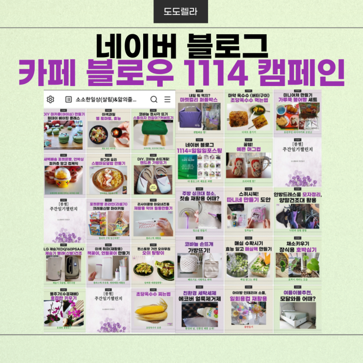  카페 블로우 1114 캠페인, 6월에도 완료!