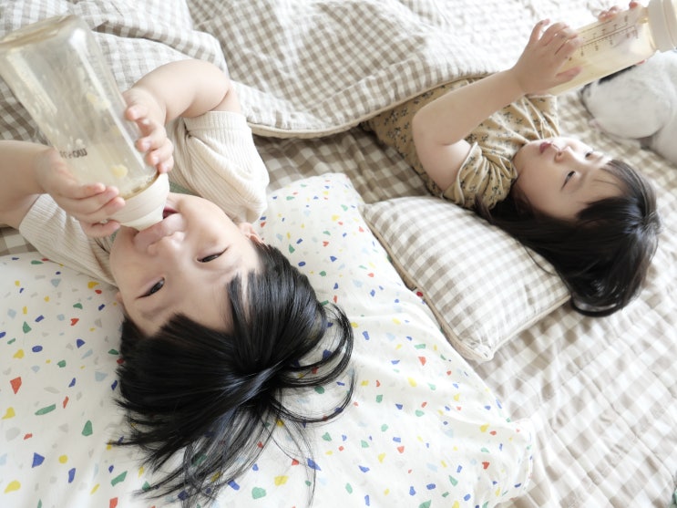  소화잘되는 분유로 앱솔루트 산양 산양유분유 추천