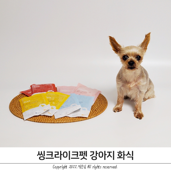 씽크라이크펫 강아지화식 빵이 잘먹어요 씽크라이크펫 강아지화식 빵이 잘먹어요