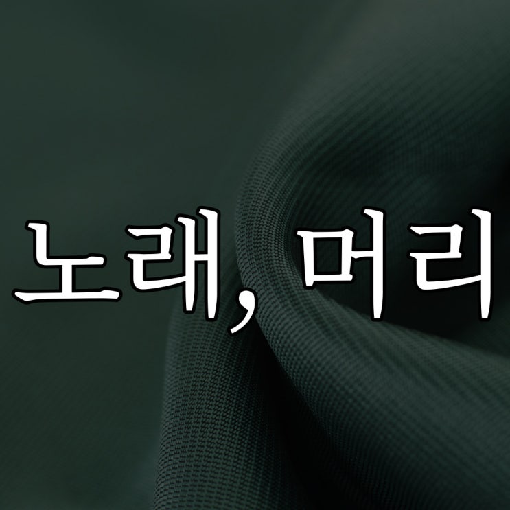  노래 부르는 머리 / 레전드 공포 썰