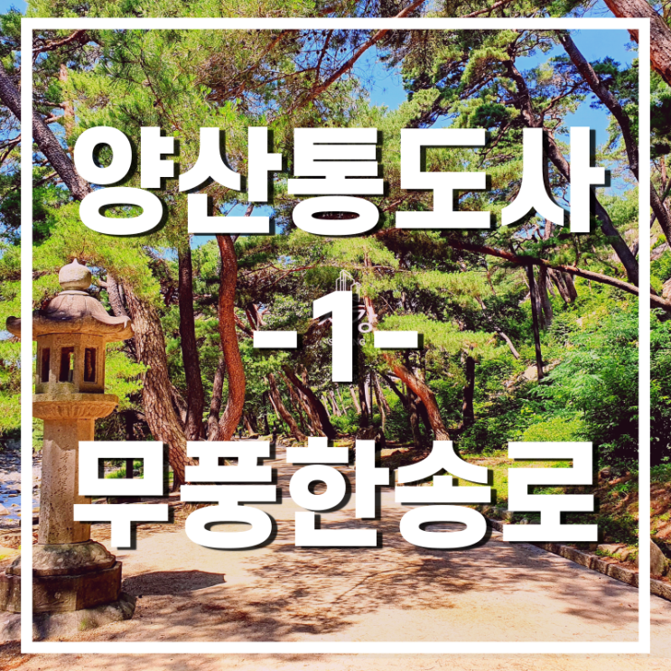  양산통도사 걷기(1) 주차장부터 무풍한송로 지나기