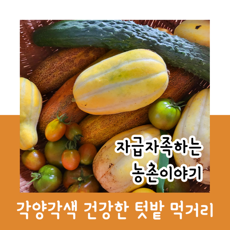  자급자족하는 농촌 이야기 : 각양각색 건강한 텃밭 먹거리