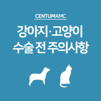 강아지 고양이 외과 수술 전 주의사항