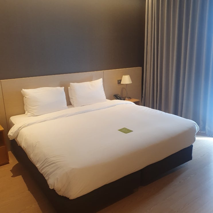  강릉 세인트 존스 호텔 _ 내돈내산 슈페리어 더블 마운틴뷰 + 조식