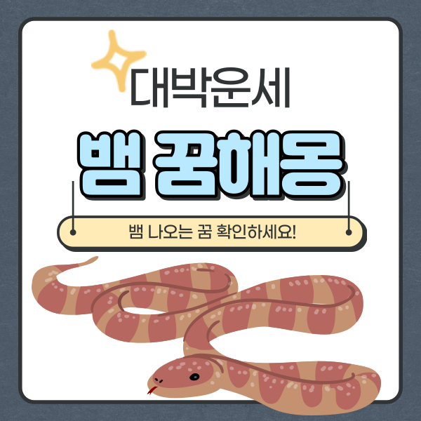  뱀 나오는 꿈해몽 종류 알아보자