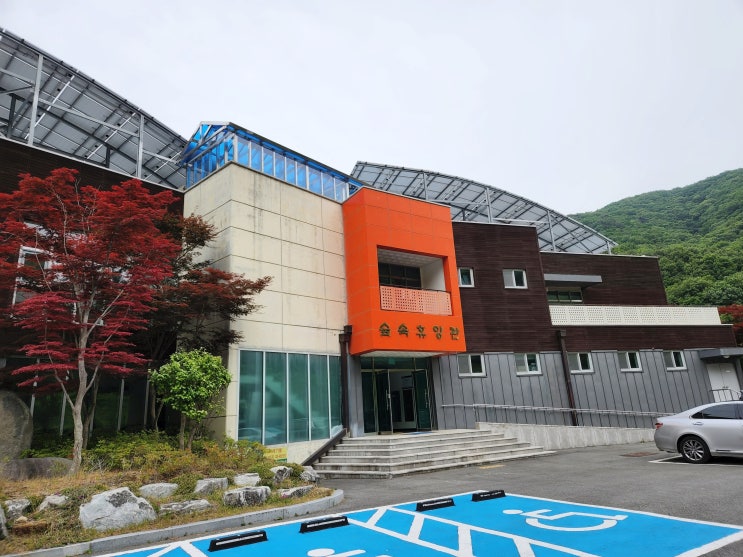  보성 제암산자연휴양림 숲속휴양관 후기