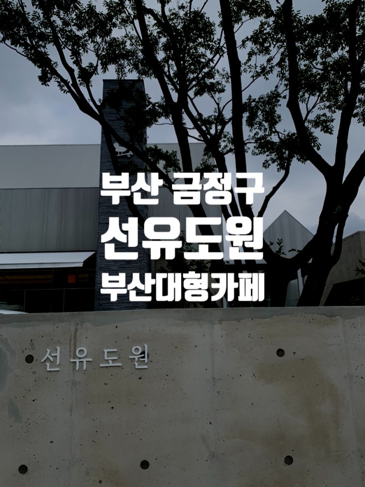  [부산 금정구] 산신령도 몰래 커피한잔하고 가는, 회동수원지 앞 대형카페 '선유도원' 후기
