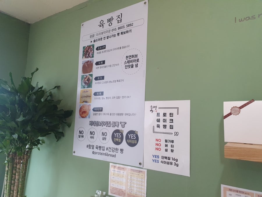 육빵 사진 3