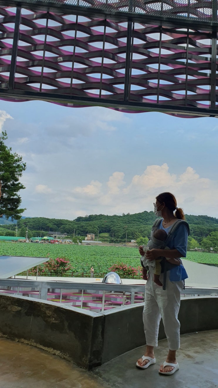  주말 손자와 함께^^