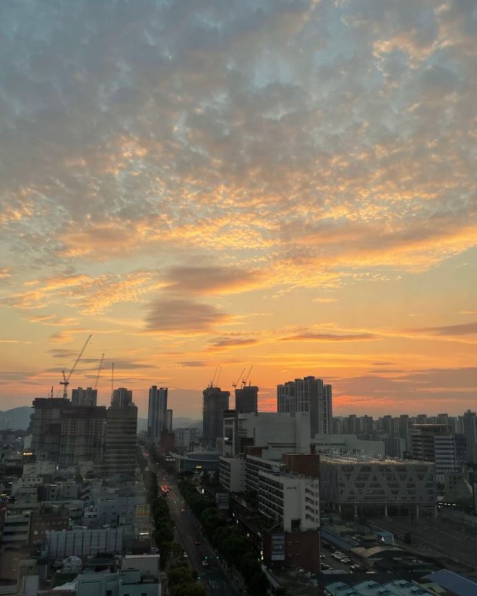 [대구동성로노마즈하우스오피스텔]월세,전세,매매