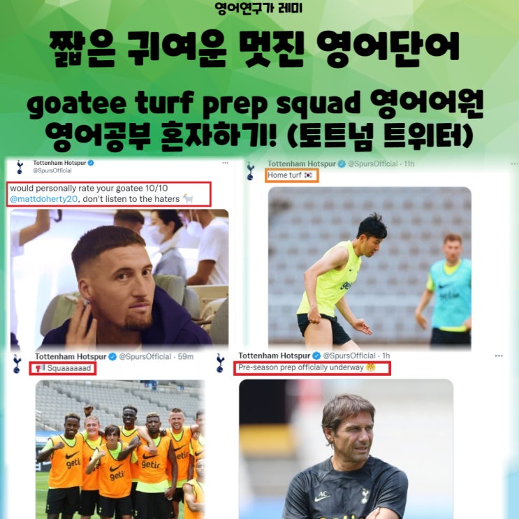 짧은 귀여운 멋진 영어단어 goatee turf prep squad 영어어원 영어공부 혼자하기! (토트넘 트위터)