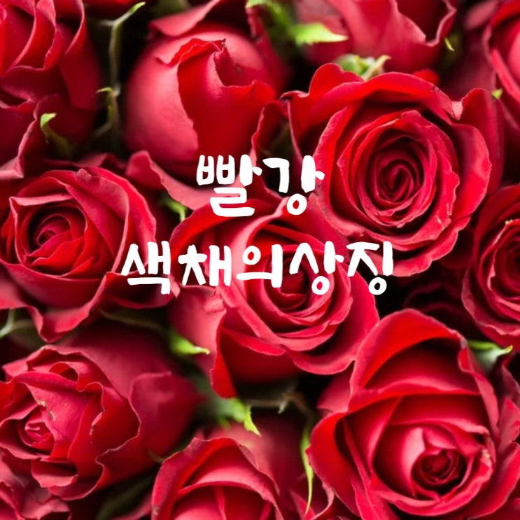  색채의 상징 빨강