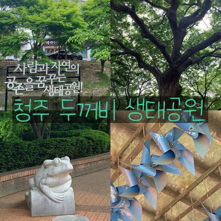 청주 나들이 하기 좋은 두꺼비 생태 공원 걸어봤어요. 청주 나들이 하기 좋은 두꺼비 생태 공원 걸어봤어요.