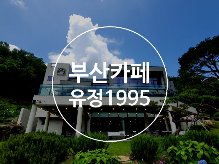 부산정관카페 / 유정1995 / 대형감성카페 / 커피맛집