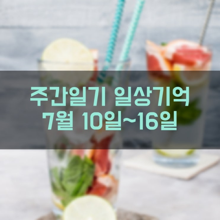 [주간일기] 일상기억 (7월 10일 ~ 7월 16일)