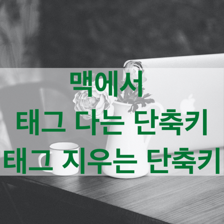  맥 파인더에서 태그 단축키로 지우는 법, 태그 단축키로 다는 법