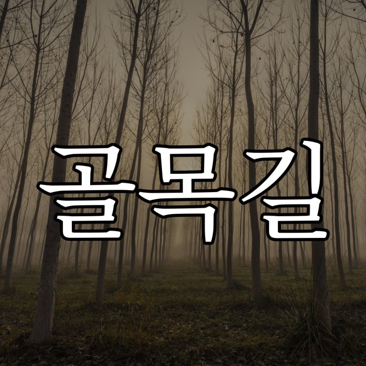  골목길에서의 살인극 / 소름돋는 무서운 이야기