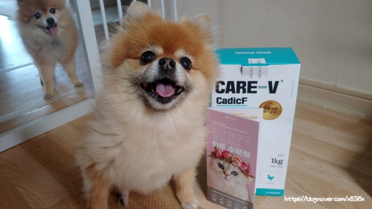 강아지 처방식 사료     하이독 CARE-V 카딕프 심장