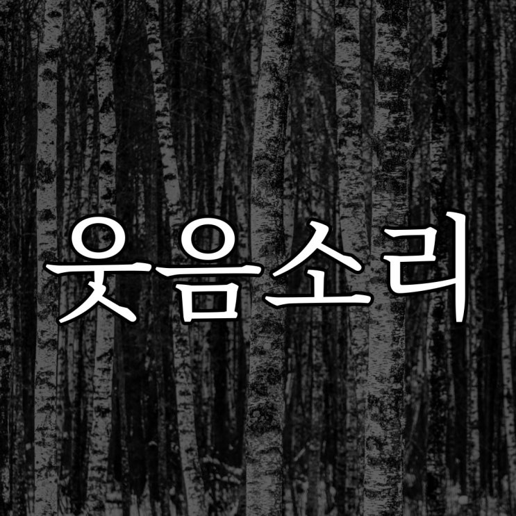  누나의 웃음소리 / 짧은 루리웹 실화 공포