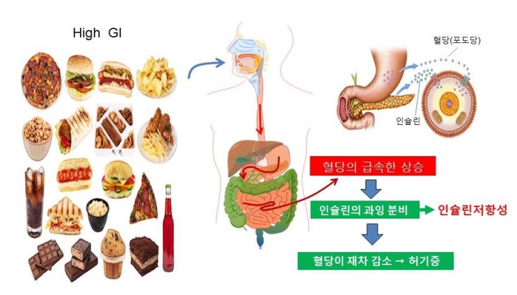  혈당지수(GI)와 당부하지수(GL)란? 쇼콜라케이크의 역설