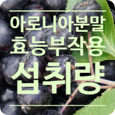  아로니아분말 섭취량 효능 부작용 먹는방법