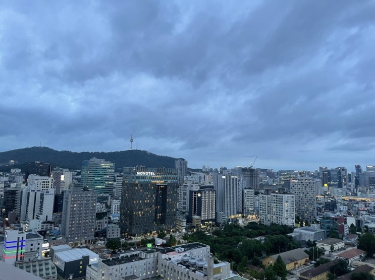  6월 셋째 주, 주간일기