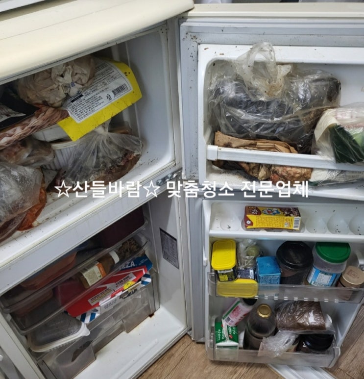 벌레청소, 냉장고청소, 쓰레기정리, 맞춤청소