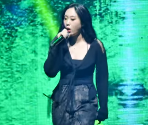 Lee Young-ji: Halter Neck, Waterbomb, Tattoos, MBTI, Plastic Surgery