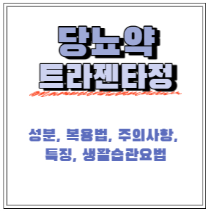  트라젠타정 당뇨약! 성분, 복용법, 주의사항, 생활요법 정리