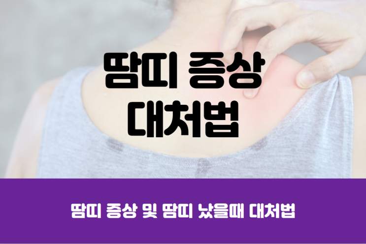  땀띠 증상 및 땀띠 났을때 가장 효과적인 대처법