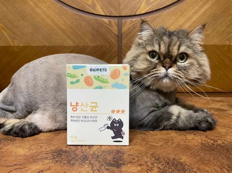 황금똥 제조하는 반려묘 영양제, 바이오펫츠 냥산균