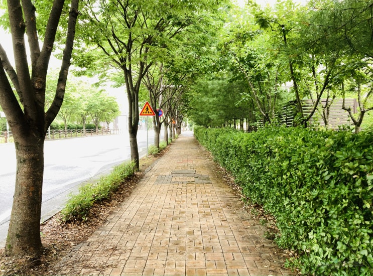 7월 둘째주 일상 육아일기 7월 둘째주 일상 육아일기