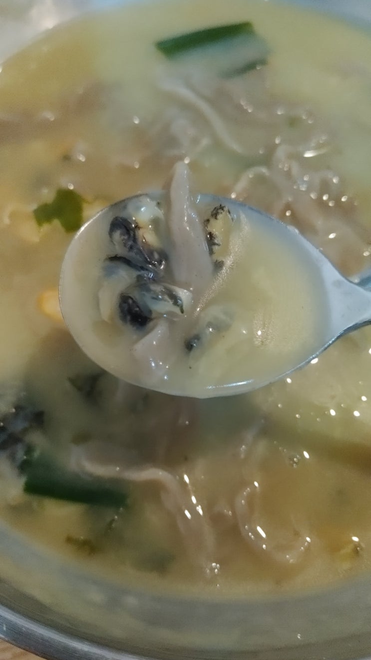  제주 서귀포 맛집 중문수두리보말칼국수에서 보말칼국수를 먹은 후기