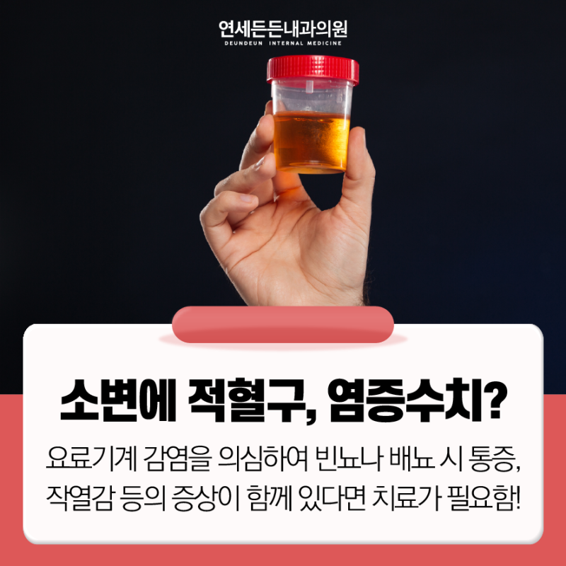 소변검사의 단백뇨 수치와 거품뇨? : 네이버 블로그