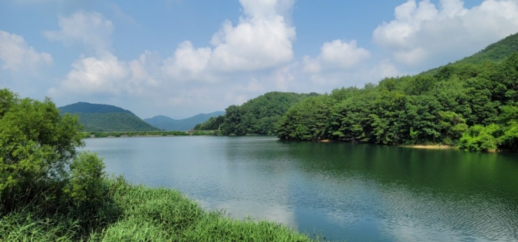  주간일기 6번째