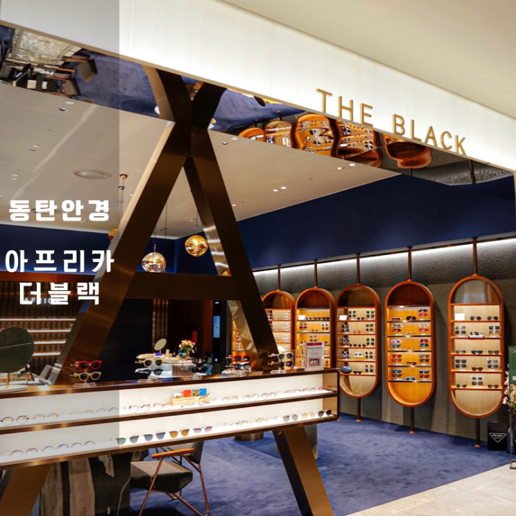  금자안경 , JTO 옵티컬 있는 동탄롯데백화점안경 아프리카 더 블랙